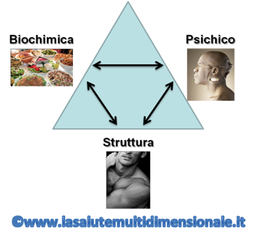 triangolo della salute triangolo della salute